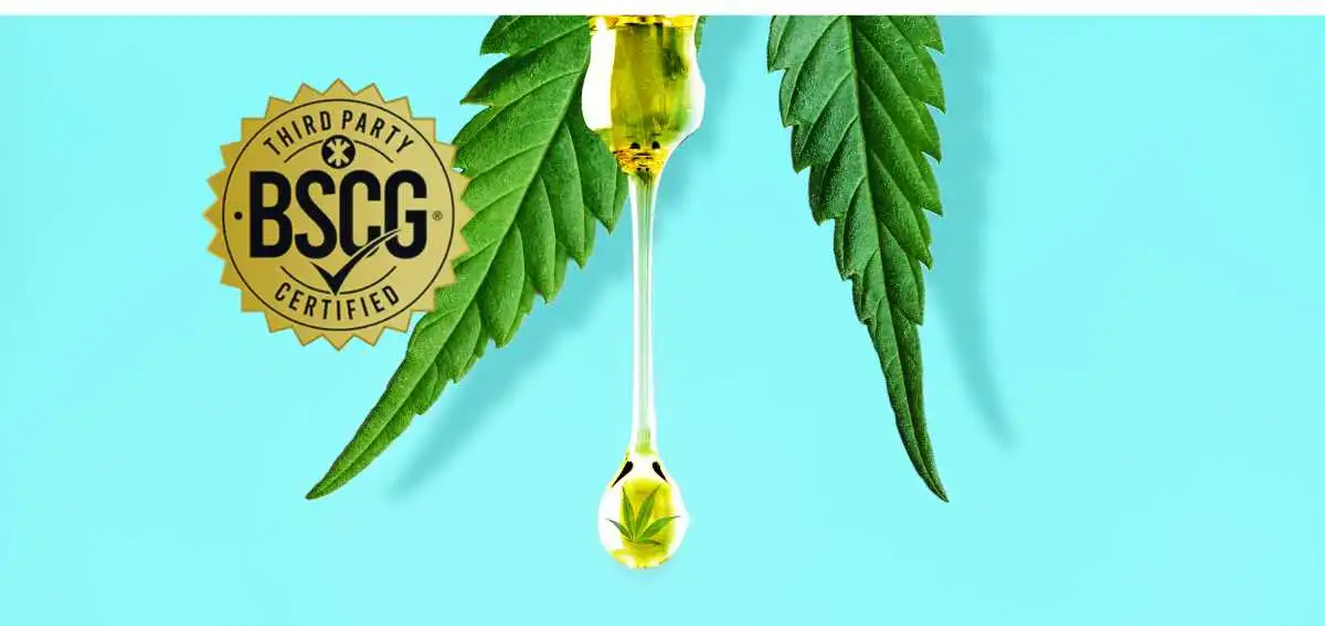 CBD-Contamination-Is-a-Risk